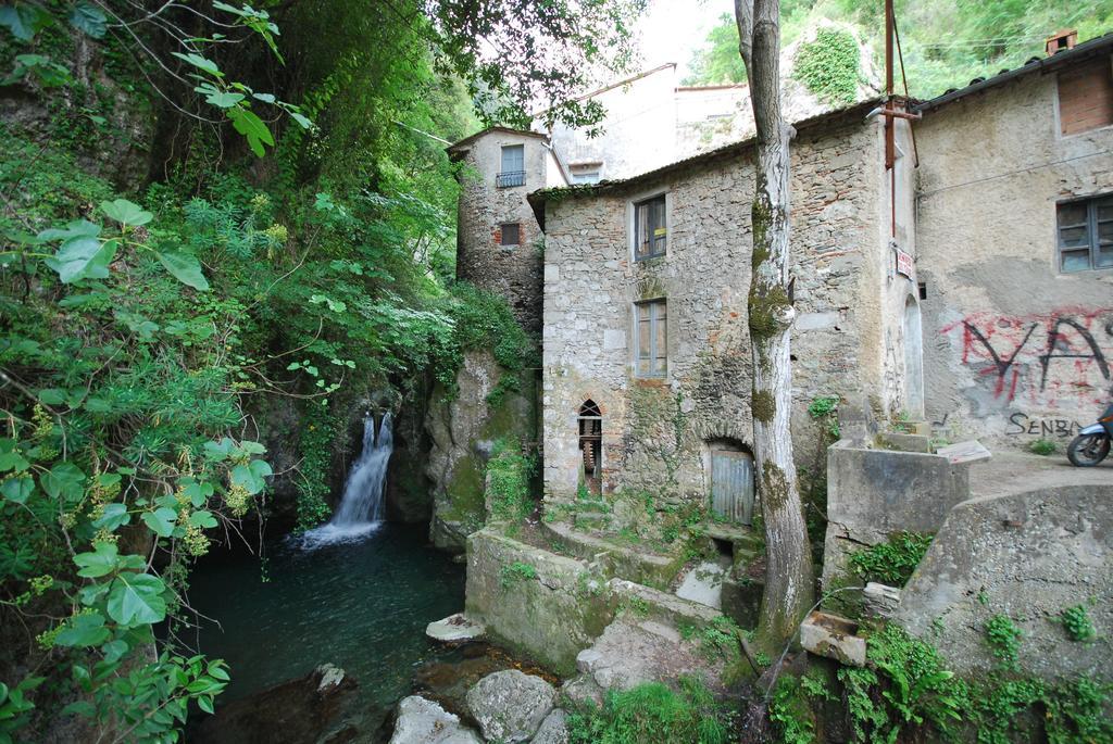 La Stagione Dell'Arte Apartment Camaiore Exterior foto